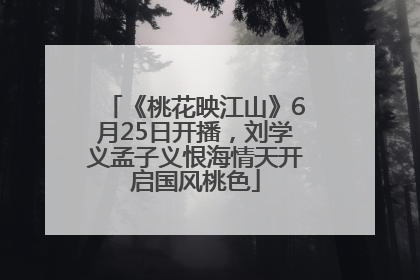 《桃花映江山》6月25日开播，刘学义孟子义恨海情天开启国风桃色