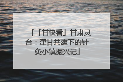 「甘快看」甘肃灵台：津甘共建下的针灸小镇振兴记