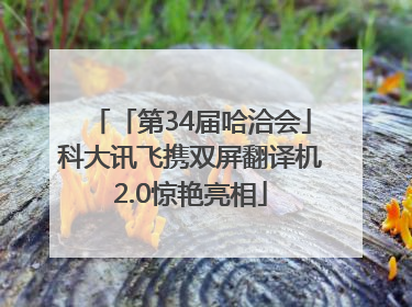 「第34届哈洽会」科大讯飞携双屏翻译机2.0惊艳亮相