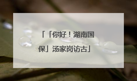 「你好！湖南国保」汤家岗访古