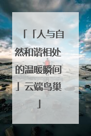 「人与自然和谐相处的温暖瞬间」云端鸟巢