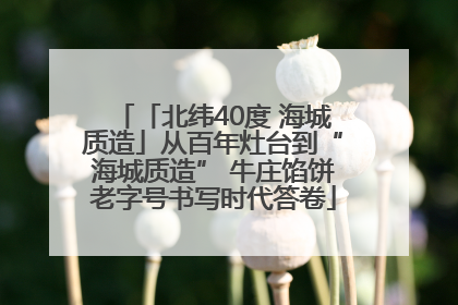 「北纬40度 海城质造」从百年灶台到“海城质造” 牛庄馅饼老字号书写时代答卷