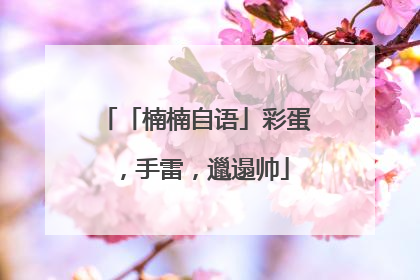 「楠楠自语」彩蛋，手雷，邋遢帅