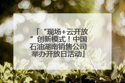 “现场+云开放”创新模式！中国石油湖南销售公司举办开放日活动