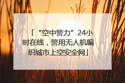 “空中警力”24小时在线，警用无人机编织城市上空安全网