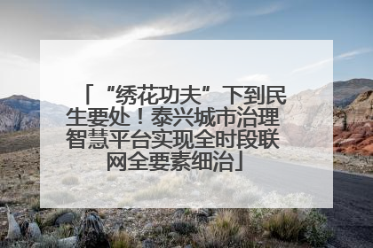“绣花功夫”下到民生要处！泰兴城市治理智慧平台实现全时段联网全要素细治