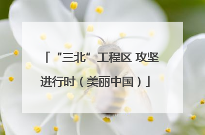 “三北”工程区 攻坚进行时（美丽中国）