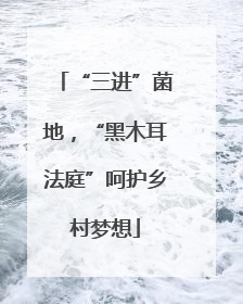 “三进”菌地，“黑木耳法庭”呵护乡村梦想
