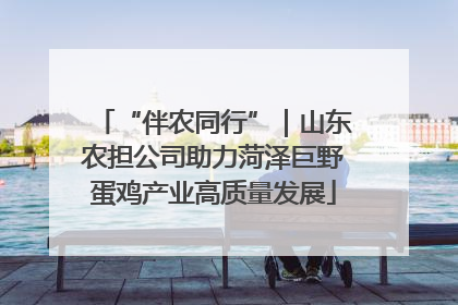 “伴农同行”｜山东农担公司助力菏泽巨野蛋鸡产业高质量发展