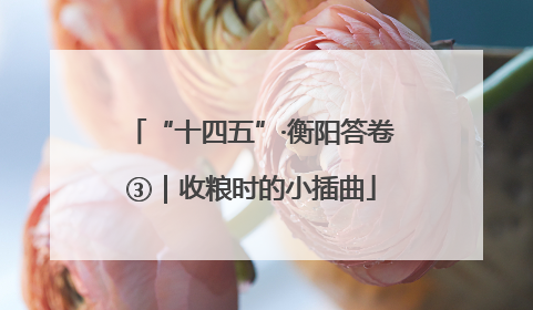 “十四五”·衡阳答卷③｜收粮时的小插曲