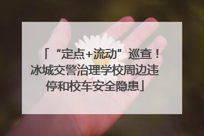 “定点+流动”巡查！冰城交警治理学校周边违停和校车安全隐患