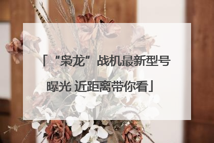 “枭龙”战机最新型号曝光 近距离带你看