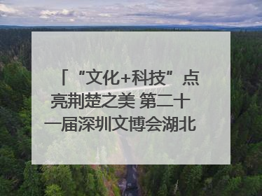 “文化+科技”点亮荆楚之美 第二十一届深圳文博会湖北馆抢“鲜”看
