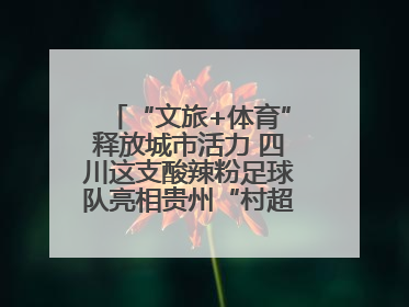“文旅+体育”释放城市活力 四川这支酸辣粉足球队亮相贵州“村超”后收到感谢信