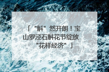 “斛”然开朗！宝山罗泾石斛花节绽放“花样经济”