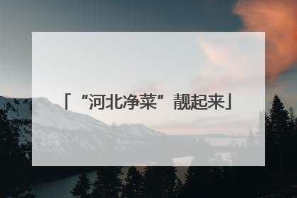 “河北净菜”靓起来