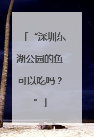 “深圳东湖公园的鱼可以吃吗？”