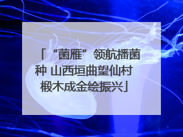 “菌雁”领航播菌种 山西垣曲望仙村椴木成金绘振兴