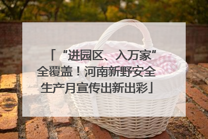 “进园区、入万家”全覆盖！河南新野安全生产月宣传出新出彩