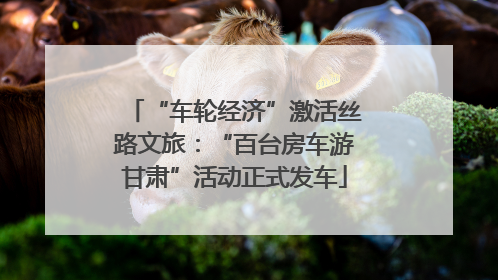 “车轮经济”激活丝路文旅：“百台房车游甘肃”活动正式发车