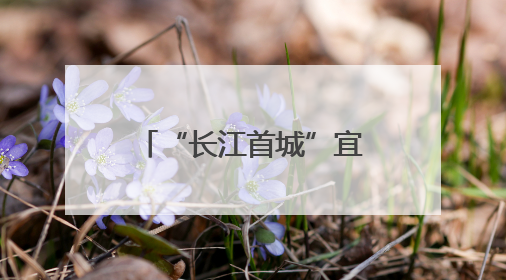 “长江首城”宜宾：让采砂场村民、渔民转行吃上“生态饭”