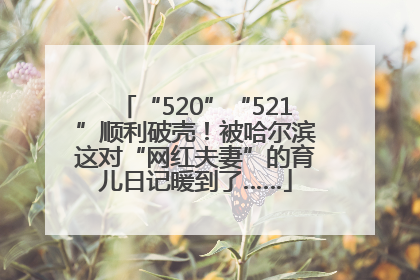“520”“521”顺利破壳！被哈尔滨这对“网红夫妻”的育儿日记暖到了……