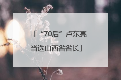 “70后”卢东亮当选山西省省长