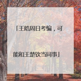 王皓周日考编，可能和王楚钦当同事