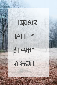 环境保护日 “红马甲”在行动