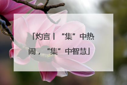 灼言丨“集”中热闹，“集”中智慧