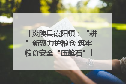 炎陵县霞阳镇：“耕”新聚力护粮仓 筑牢粮食安全“压舱石”