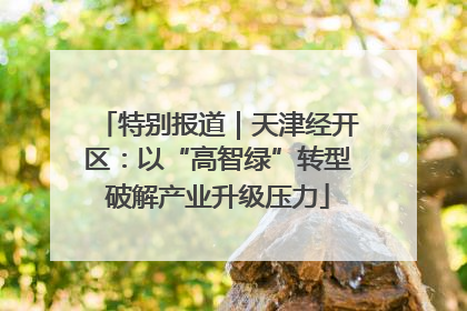 特别报道｜天津经开区：以“高智绿”转型破解产业升级压力
