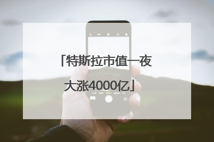 特斯拉市值一夜大涨4000亿