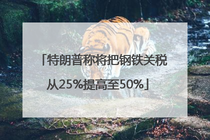 特朗普称将把钢铁关税从25%提高至50%