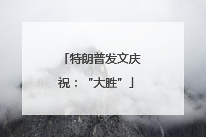 特朗普发文庆祝：“大胜”