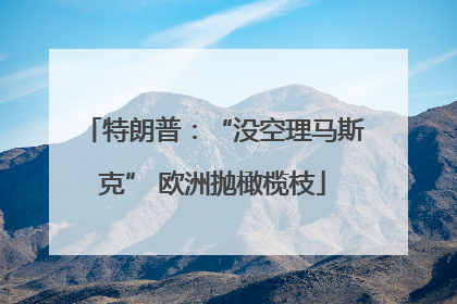 特朗普：“没空理马斯克” 欧洲抛橄榄枝