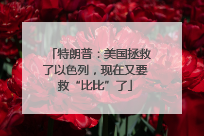 特朗普：美国拯救了以色列，现在又要救“比比”了