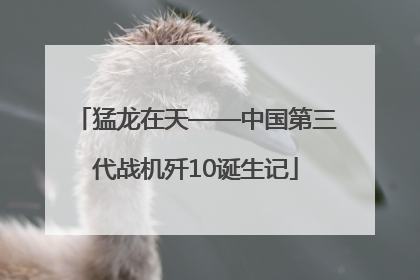 猛龙在天——中国第三代战机歼10诞生记