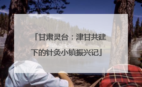 甘肃灵台：津甘共建下的针灸小镇振兴记