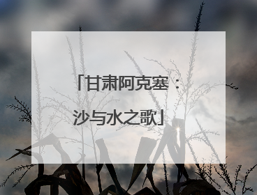 甘肃阿克塞：沙与水之歌
