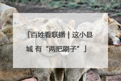 百姓看联播｜这小县城 有“两把刷子”