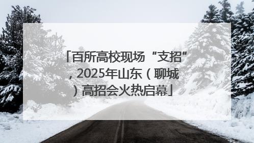 百所高校现场“支招”，2025年山东（聊城）高招会火热启幕