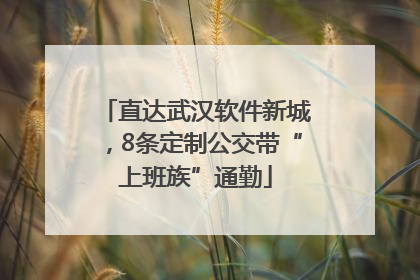 直达武汉软件新城，8条定制公交带“上班族”通勤
