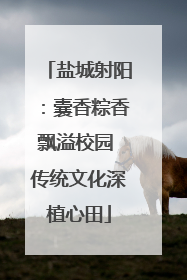 盐城射阳：囊香粽香飘溢校园 传统文化深植心田