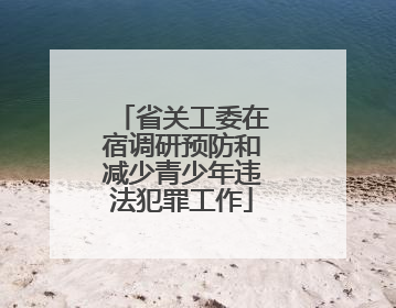 省关工委在宿调研预防和减少青少年违法犯罪工作