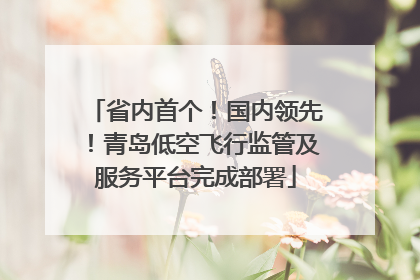 省内首个！国内领先！青岛低空飞行监管及服务平台完成部署