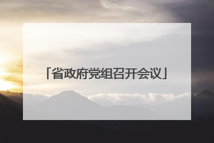 省政府党组召开会议