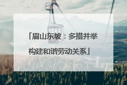 眉山东坡：多措并举构建和谐劳动关系