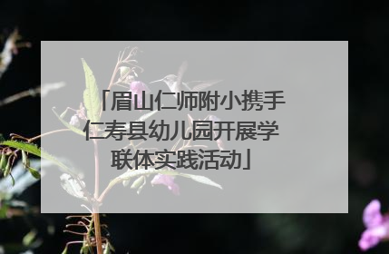 眉山仁师附小携手仁寿县幼儿园开展学联体实践活动