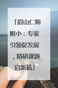 眉山仁师附小：专家引领促发展，精研课题启新篇